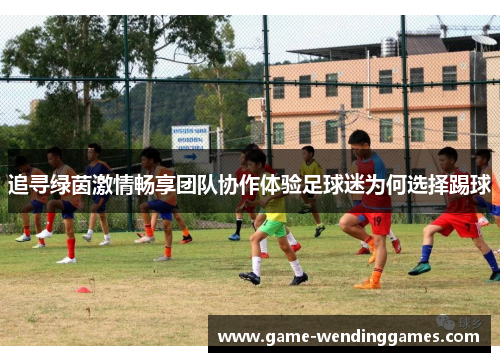 追寻绿茵激情畅享团队协作体验足球迷为何选择踢球