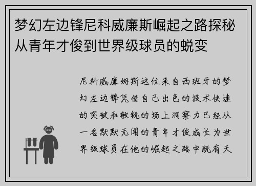 梦幻左边锋尼科威廉斯崛起之路探秘从青年才俊到世界级球员的蜕变